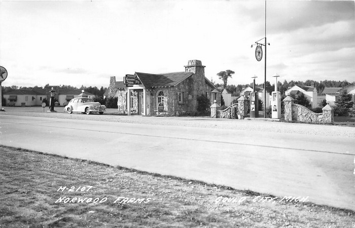 Gould City Michigan Rppc Postcard 1940S Norwood Farms Gas Station
